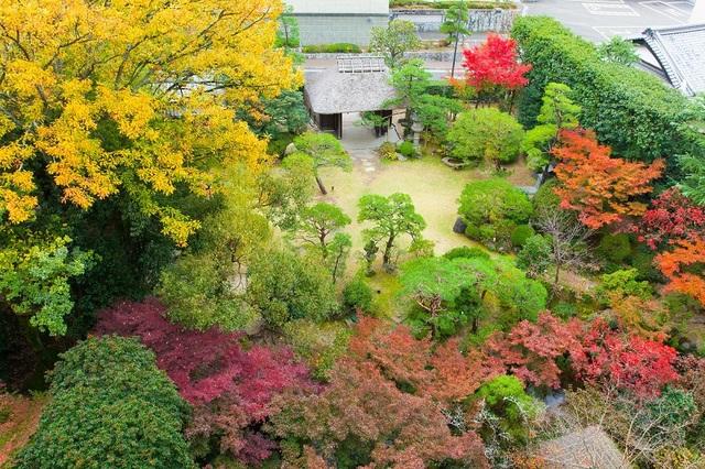色鮮やかな日本庭園「詠風庭」